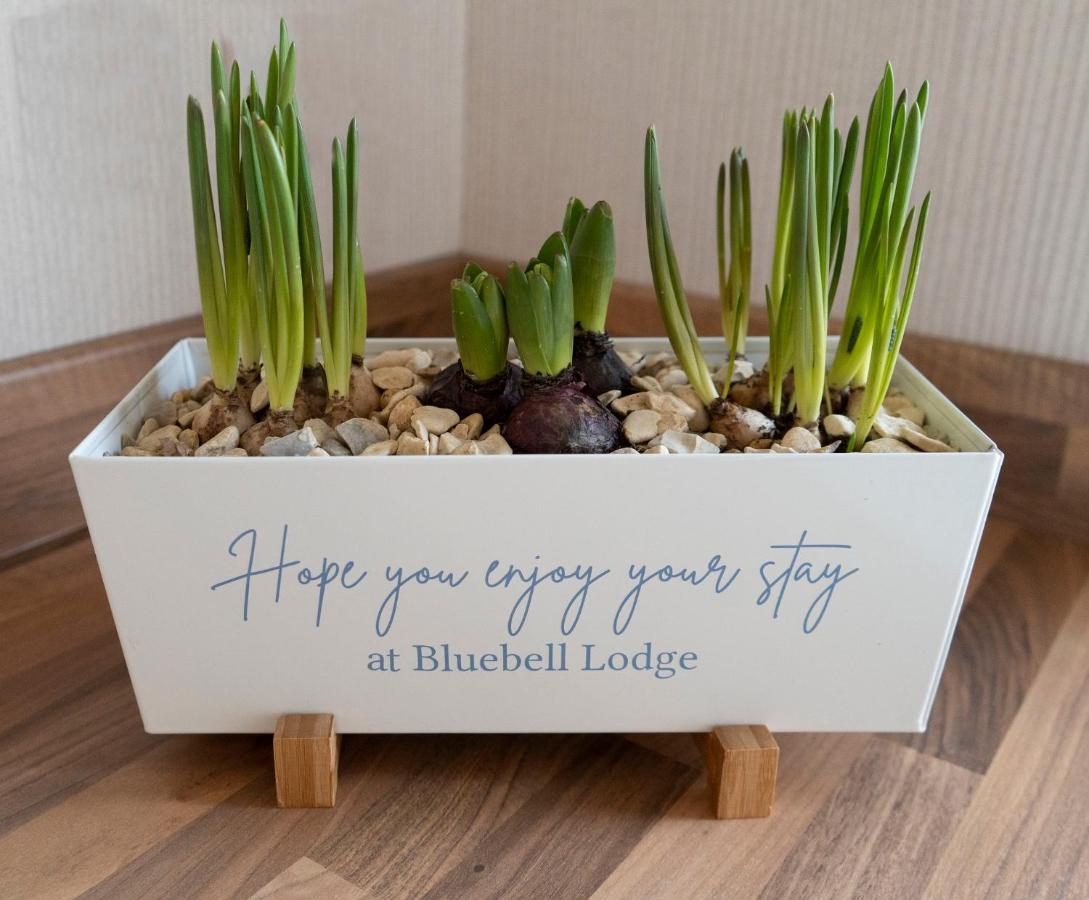Hollicarrs - Bluebell Lodge Riccall Dış mekan fotoğraf